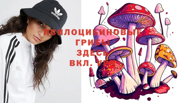 амфетамин Заводоуковск