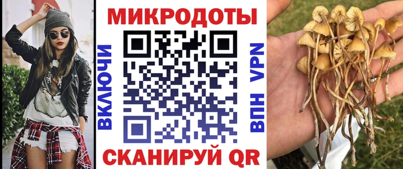 где найти наркотики Кинешма Галлюциногенные грибы Psilocybe