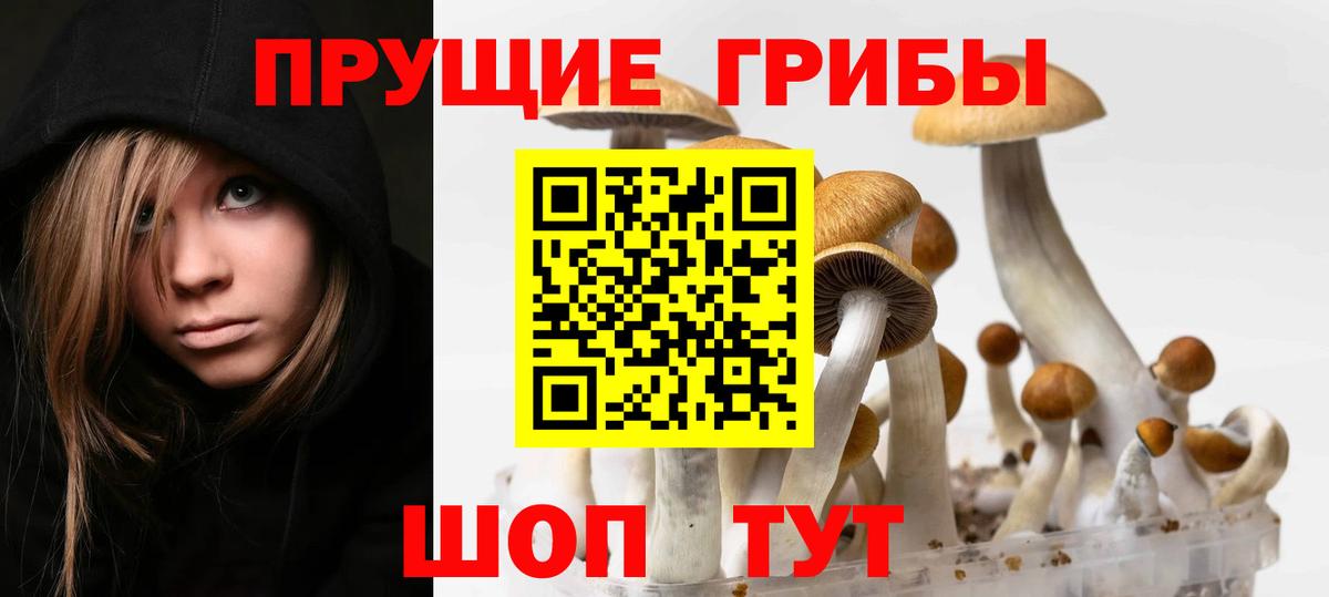 Псилоцибиновые грибы GOLDEN TEACHER Кинешма