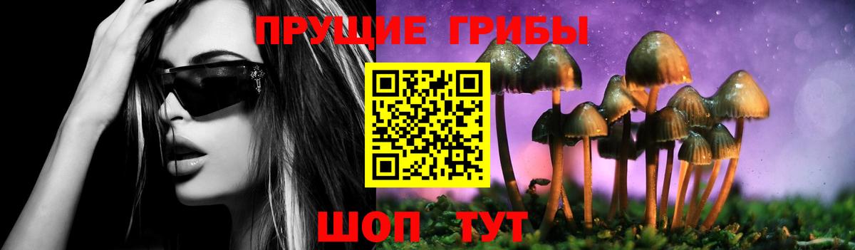 Кинешма  Псилоцибиновые грибы GOLDEN TEACHER  Галлюциногенные грибы прущие грибы  Вход с VPN 