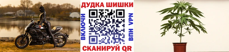Канабис Bruce Banner  где можно купить наркотик  Кинешма 